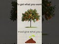 Learn to grow money..