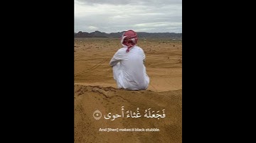 سبح اسم ربك الأعلى #قران_كريم #عبدالرحمن_مسعد #تلاوات_خاشعة