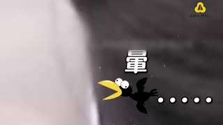 韓國全新升級洗衣機過濾網
