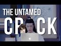 The Untamed - CRACK 5