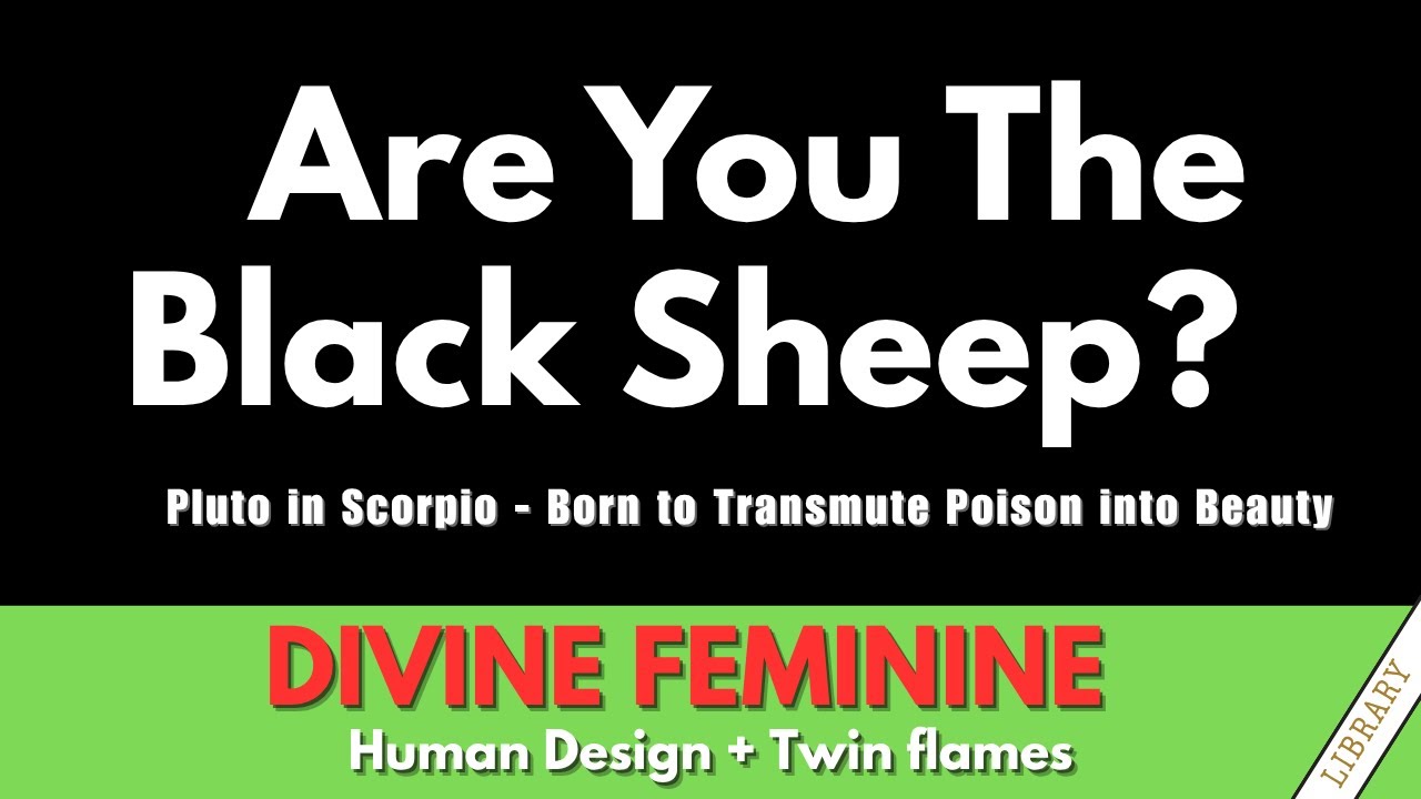 Black Sheep? You have an Important ROLE for the Collective