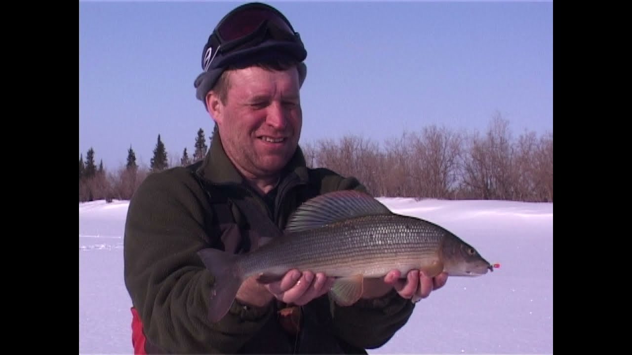 Зимняя ловля хариуса на Приполярном Урале