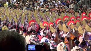 徳島阿波踊り 2015 0812 振興協会合同 総踊り 南内町演舞場 第2部