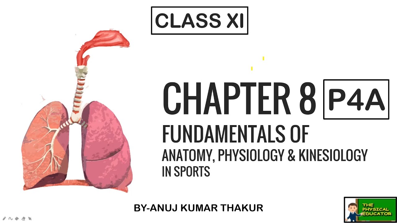 Chapter 8 I Fundamentals of Anatomy, Physiology & Kinesiology in Sports ...