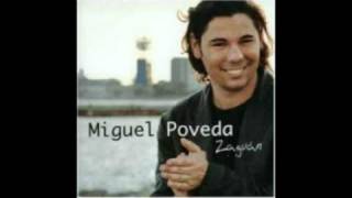 Miniatura del video "miguel poveda - clemencia(fandangos)"