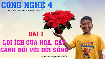 Công nghệ lớp 4 Bài 1 LỢI ÍCH CỦA HOA, CÂY CẢNH ĐỐI VỚI ĐỜI SỐNG Kết nối tri thức với cuộc sống