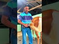 #asmr #farrier #horse #farrierlife #satisfying #hoofcare