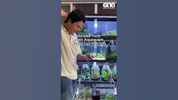 Thumbnail of Tabletica CO2