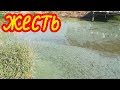 цветение воды в пруду!причины!способы борьбы с цветением воды и водорослями.известкование пруда!