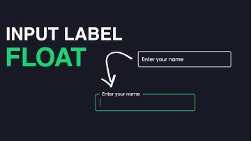 How to Create Float Input Label using HTML and CSS