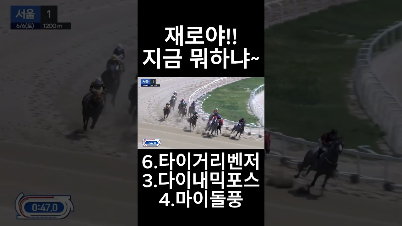 재로야 지금뭐하냐   #경마  #경마예상  #경마방송  #경마예상방송  #서울경마  #금요경마  #토요경마  #일요경마 #경마장
