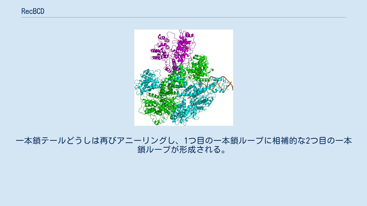 Recbcd Youtube Recbcd Youtube