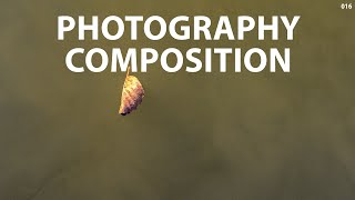 Photography composition (#2): Using negative space