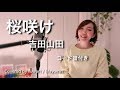 桜咲け / 吉田山田  TVアニメ『火ノ丸相撲』歌詞 コード付き Covered by fuwari #7