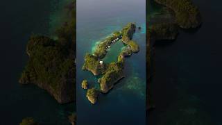 Paradise is affordable…it only cost 25$/pax #rajaampat #traveltips #discovertheworld