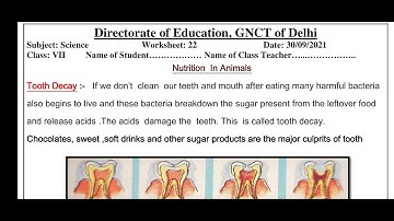 WORKSHEET 22 CLASS 7 SCIENCE (ENGLISH MEDIUM) THURSDAY 30 SEPTEMBER 2021||(30/09/2021)