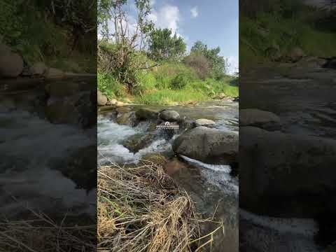 وادي طبب السعودية عسير ابها تصويري      