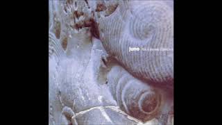 Juno - Venus On 9th Street Update