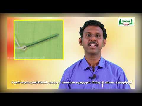 Class 8 | வகுப்பு 8 | அறிவியல் | பருவம் 1 | அலகு 2 | விசையும் அழுத்தமும்  | KalviTv