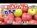 国華園　りんごガチャ紹介