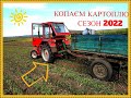 🎥 КОПАЄМО КАРТОПЛЮ ТРАКТОРОМ Т 25 СЕЗОН 2022✔️/WE ARE DIGING POTATOES WITH TRACTOR T 25 SEASON 2022