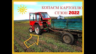 🎥 КОПАЄМО КАРТОПЛЮ ТРАКТОРОМ Т 25 СЕЗОН 2022✔️/WE ARE DIGING POTATOES WITH TRACTOR T 25 SEASON 2022