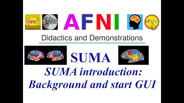 [AFNI Academy] SUMA introduction: Background and start GUI