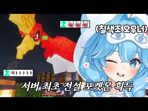 봉켓몬 서버 최초 전설의 포켓몬, '칠색조 오우너' 정타비 등장