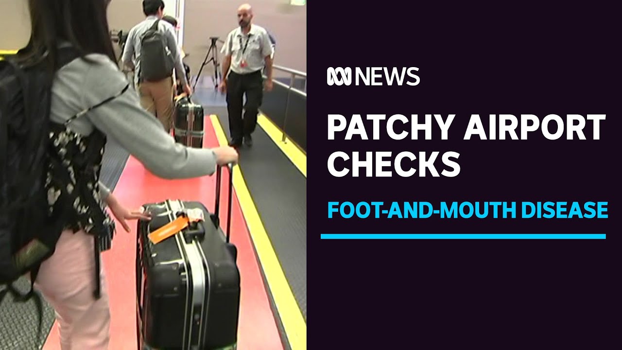 Travellers question footandmouth disease screening processes at