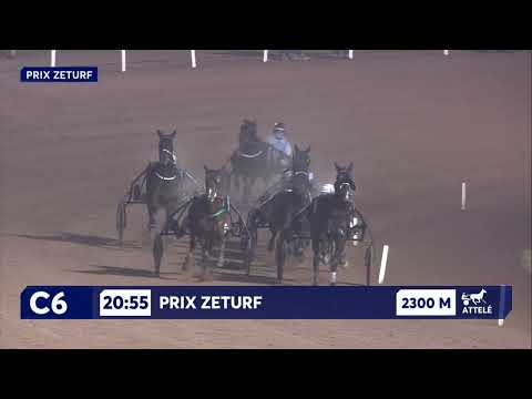 La vidéo du PRIX ZETURF course PMU du Mardi 21 janvier 2025 - MONS (GHLIN)