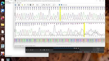 Saving your contiguous sequence from Seqtrace