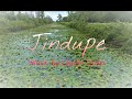Free Beautiful Music Jindupe by Lauren Duski - DJI Mavic 2 Pro  - Drone Pilot Sip Ski Summer 2020