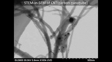 [Materials] STEM-in-SEM of CNT (carbon nanotube)