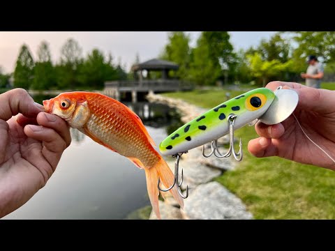 Fishing with the STRANGEST BAITS from a LOCAL TACKLE SHOP!!! (Not
