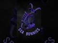Qui Sont Les Sea Bonnies Dans Five Nights At Freddy S Fnaf Fivenightsatfreddys Gaming