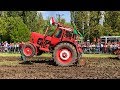 Tractor Pulling - MTZ 82 + MTZ 80 + MTZ 50 | Szarvasi Erőhúzások 2019