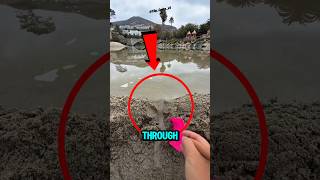 He Had NO IDEA What He Started 😱       #bome #shorts #catshorts #funnyshorts #smallcreator #trending
