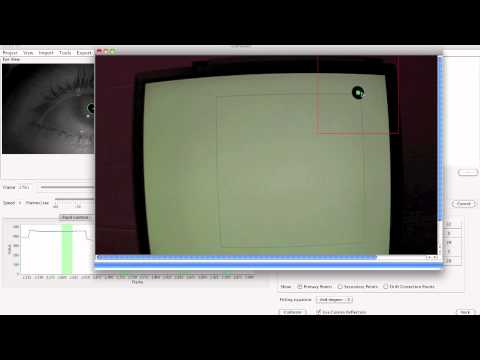 ExpertEyes Eye Tracking System: Tutorial Part 3