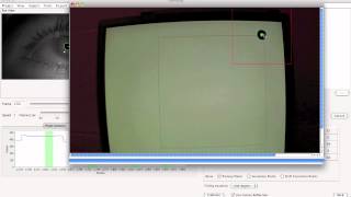 ExpertEyes Eye Tracking System: Tutorial Part 3