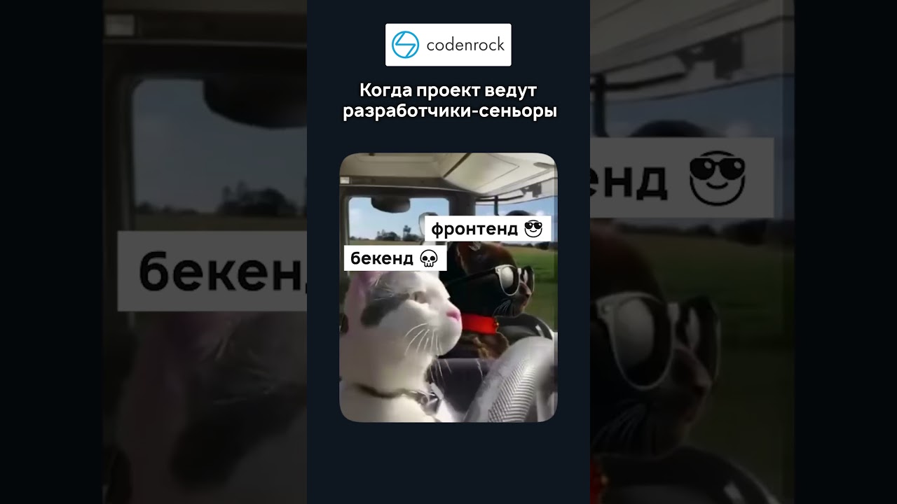 Когда проект ведут разработчики сеньоры