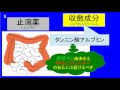 腸の薬　瀉下薬/止瀉薬登録販売者試験　主な医薬品の成分