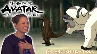 Avatar the Last Airbender 1x13 & 1x14 Reaction | The Blue Spirit | The Fortuneteller