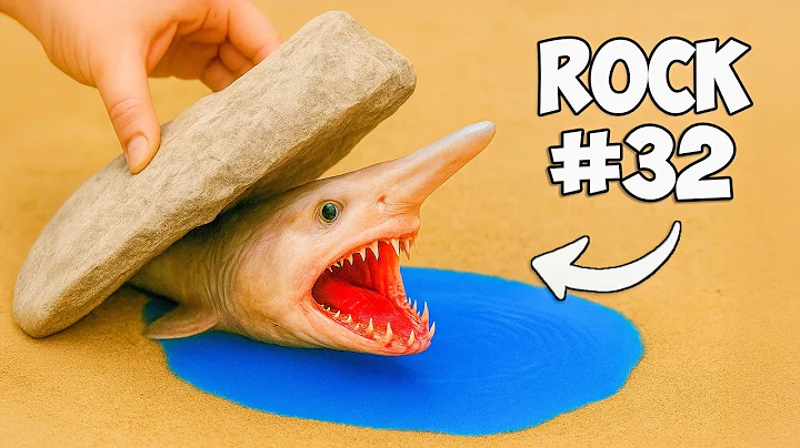 I Flipped 100 Rocks, Here’s What I Found...