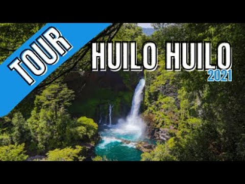 huilo huilo 2021 chile