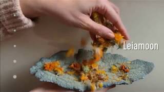 Yoni Steam Herb Blend For L Steaming - Premium & Organic - Leiamoon