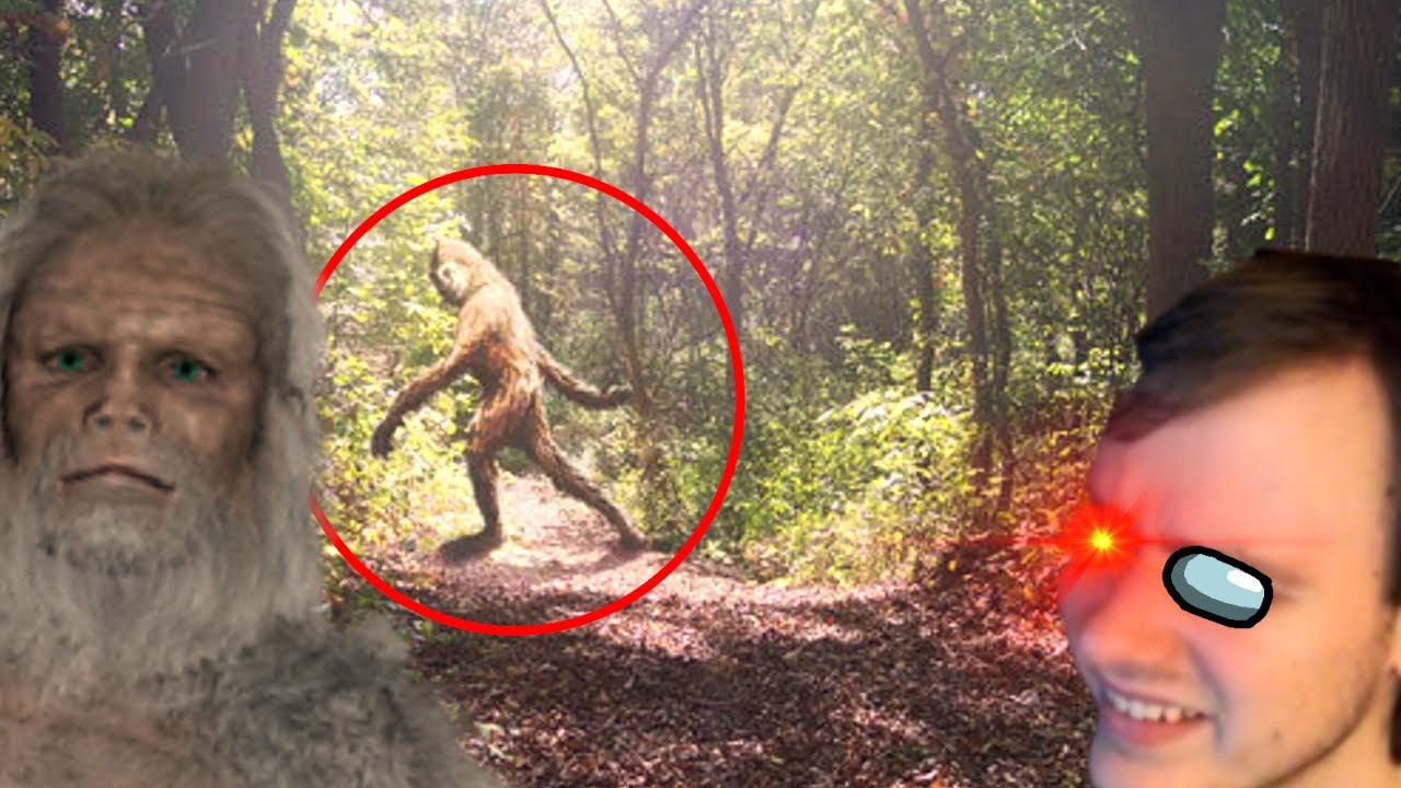 Yellowstone??? BIGFOOT 6 YouTube
