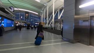 Toronto pearson terminal 1 - check-in area tour
