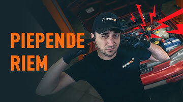 Wat te doen wanneer de riem piept | AUTODOC tips