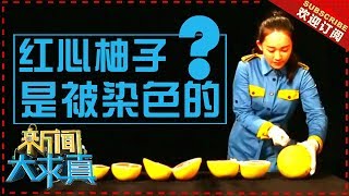 《新闻大求真》20180221期：红心柚子是被染色的？ News and science【芒果TV精选频道】