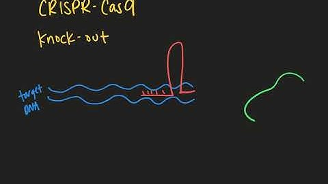 Bio336 Week 9 CRISPR-Cas9